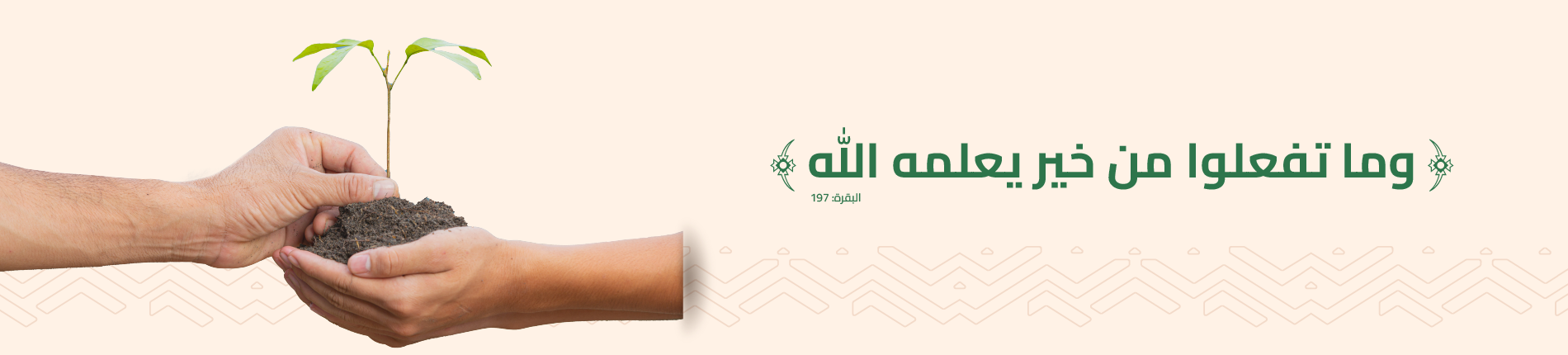 جمعية حائل للأسكان الخيري